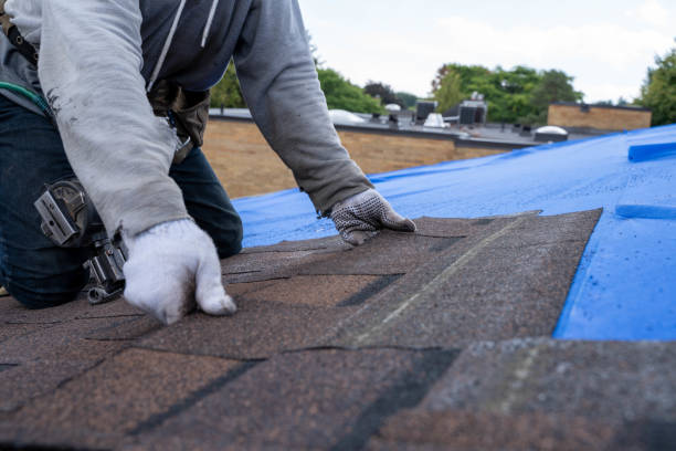 Best Roof Insulation Installation  in Burton, OH